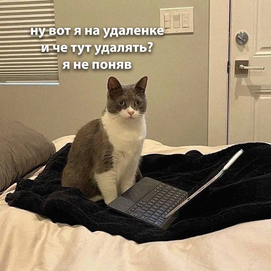Медиа 1